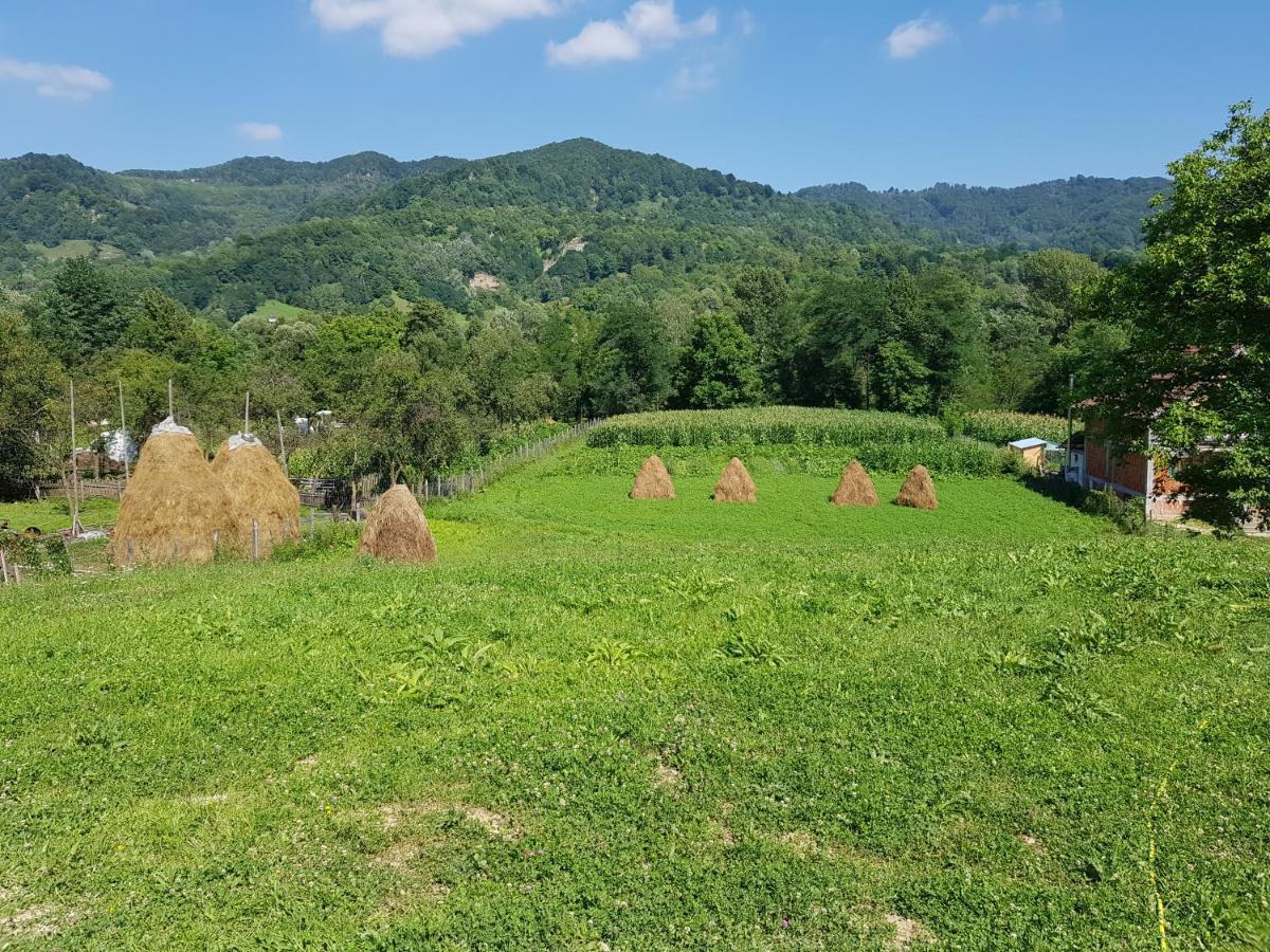 Heaven Guesthouse Corbeni Ngoại thất bức ảnh